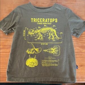 Kids Dinosaur Graphic Tee - Olive Green